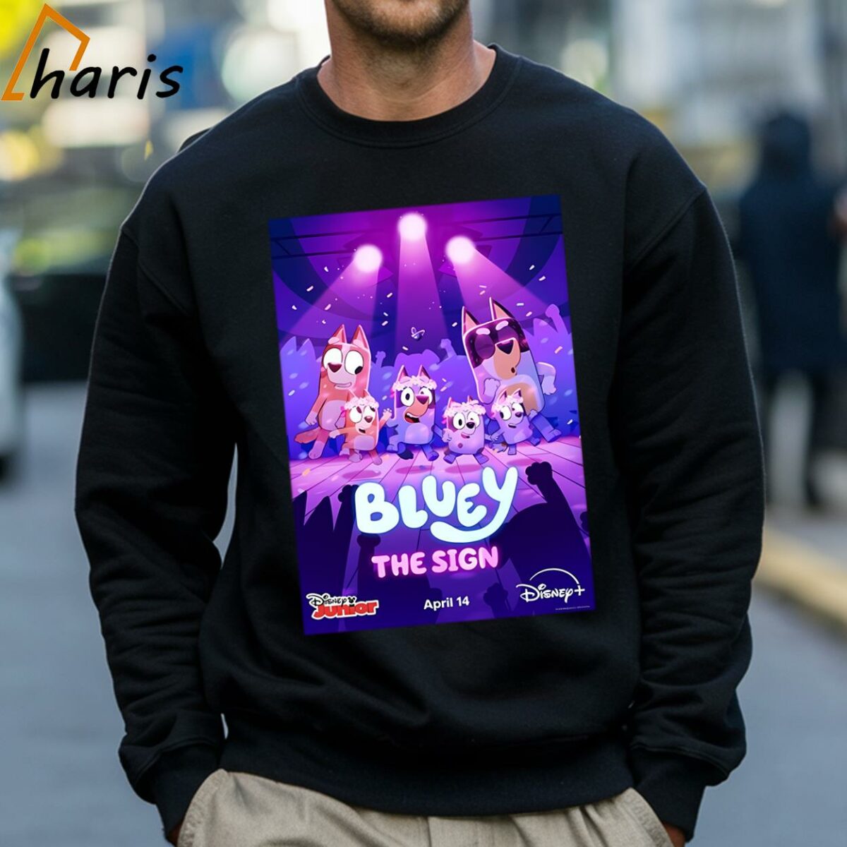 Bluey The Sign On April 14 Bluey T shirt 4 Sweatshirt