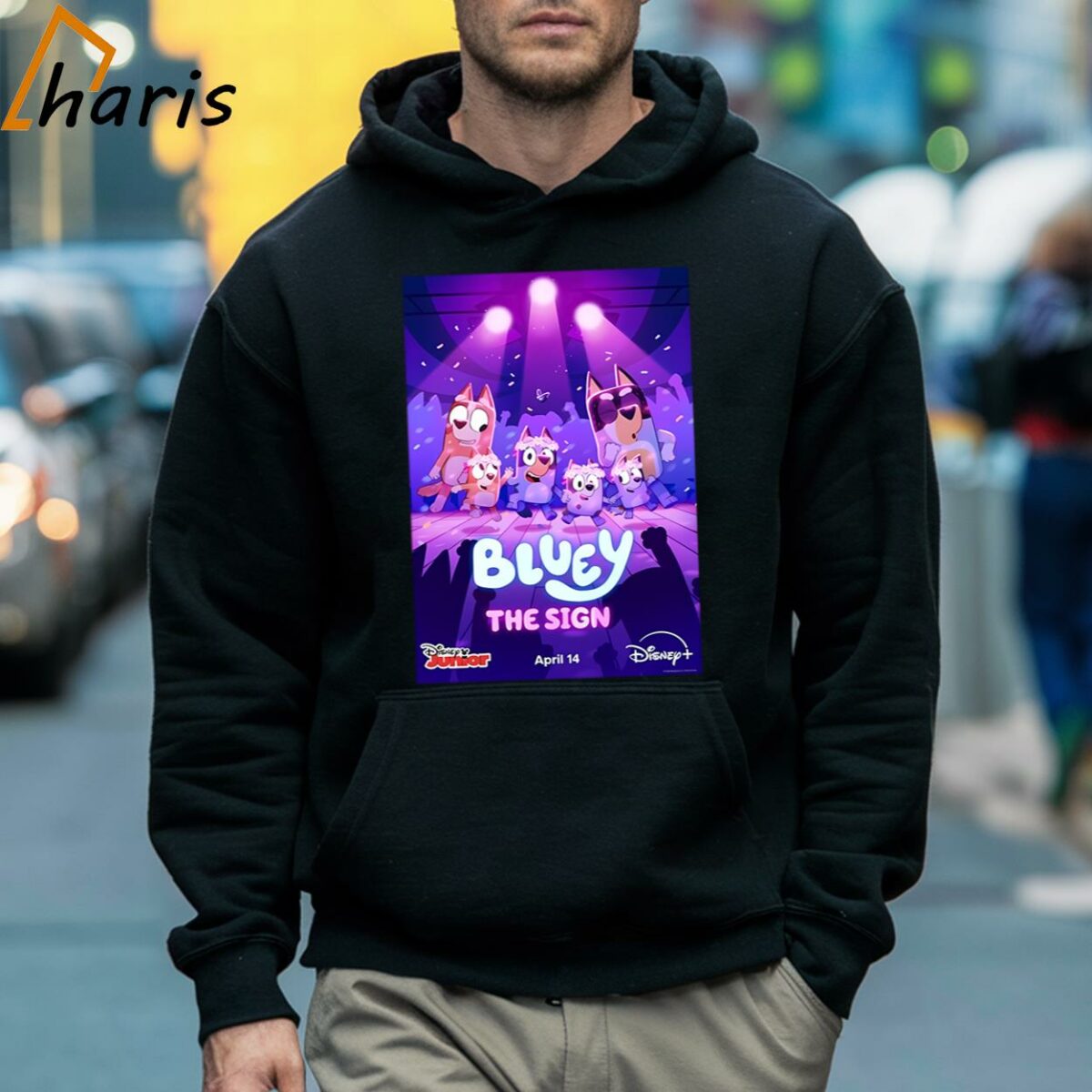 Bluey The Sign On April 14 Bluey T shirt 5 Hoodie
