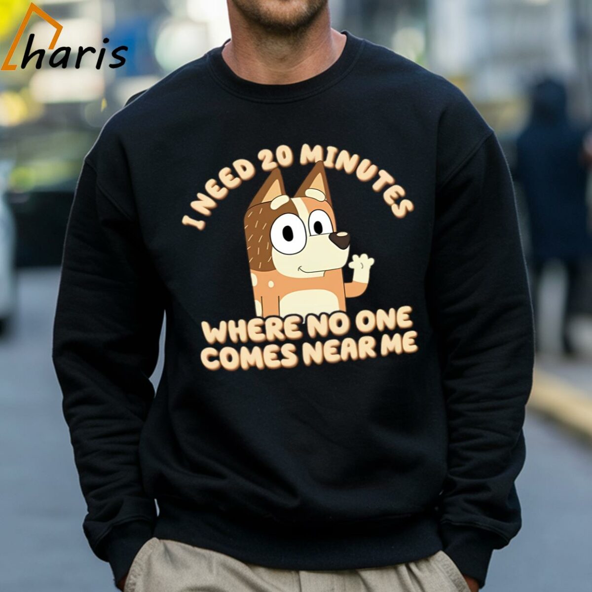 I Need 20 Minutes Bluey Bingo Shirt 4 Sweatshirt