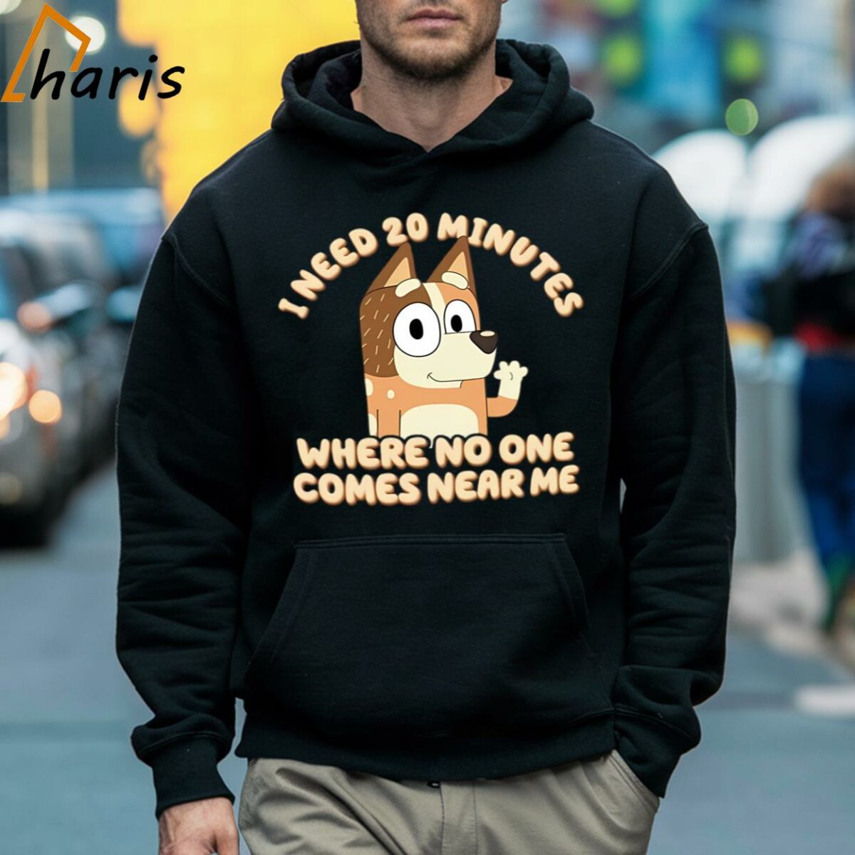 I Need 20 Minutes Bluey Bingo Shirt 5 Hoodie