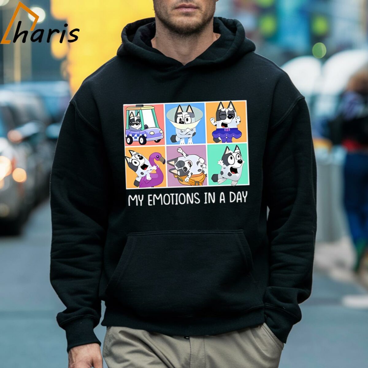 My Emotions In A Day Bluey T shirt 5 Hoodie