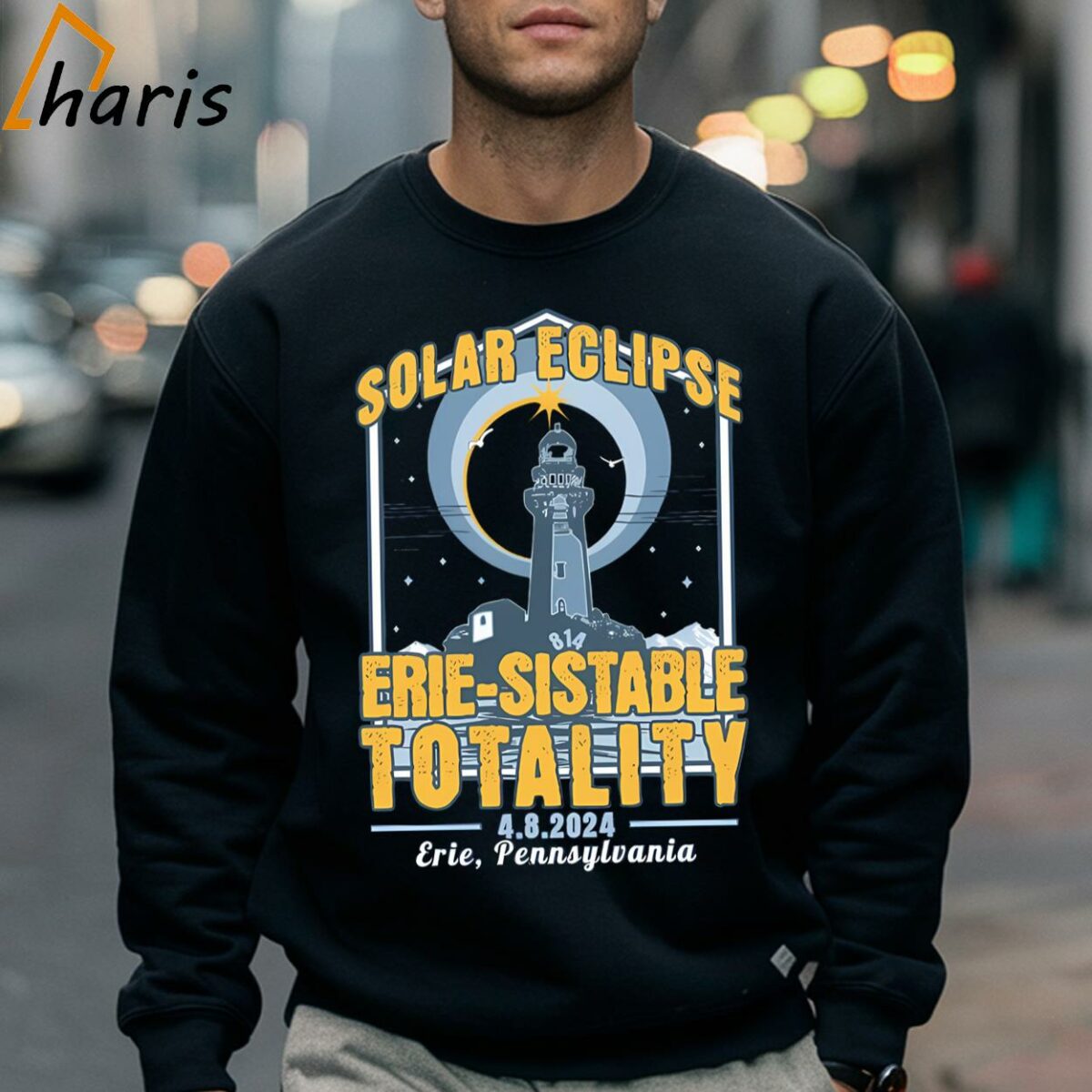 Solar Eclipse Erie sistable Totality 2024 Shirt 5 Sweatshirt