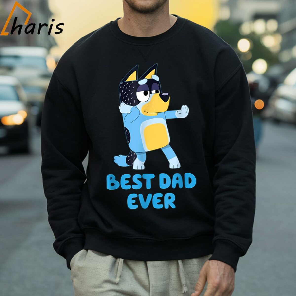 Bluey Best Dad Ever T Shirt Fathers Day Gift 4 Sweatshirt