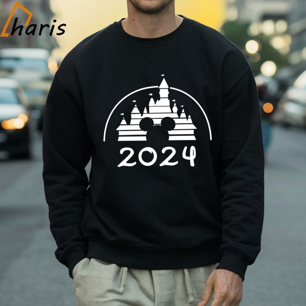 Disney Castle Disney Trip 2024 Shirt 4 Sweatshirt