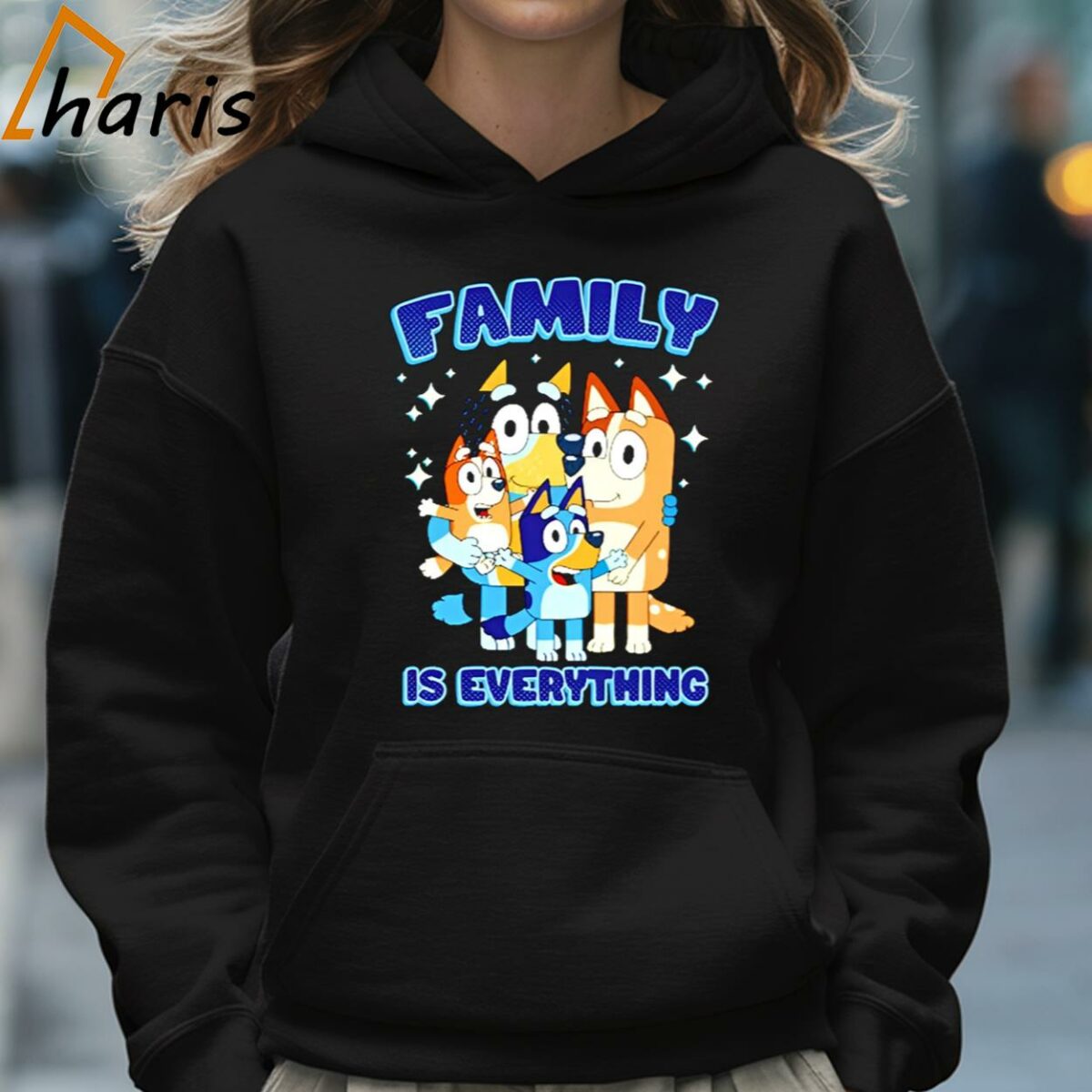 Family Is Everything Bluey Dad Mom Shirt Family Bluey Merch 5 Hoodie