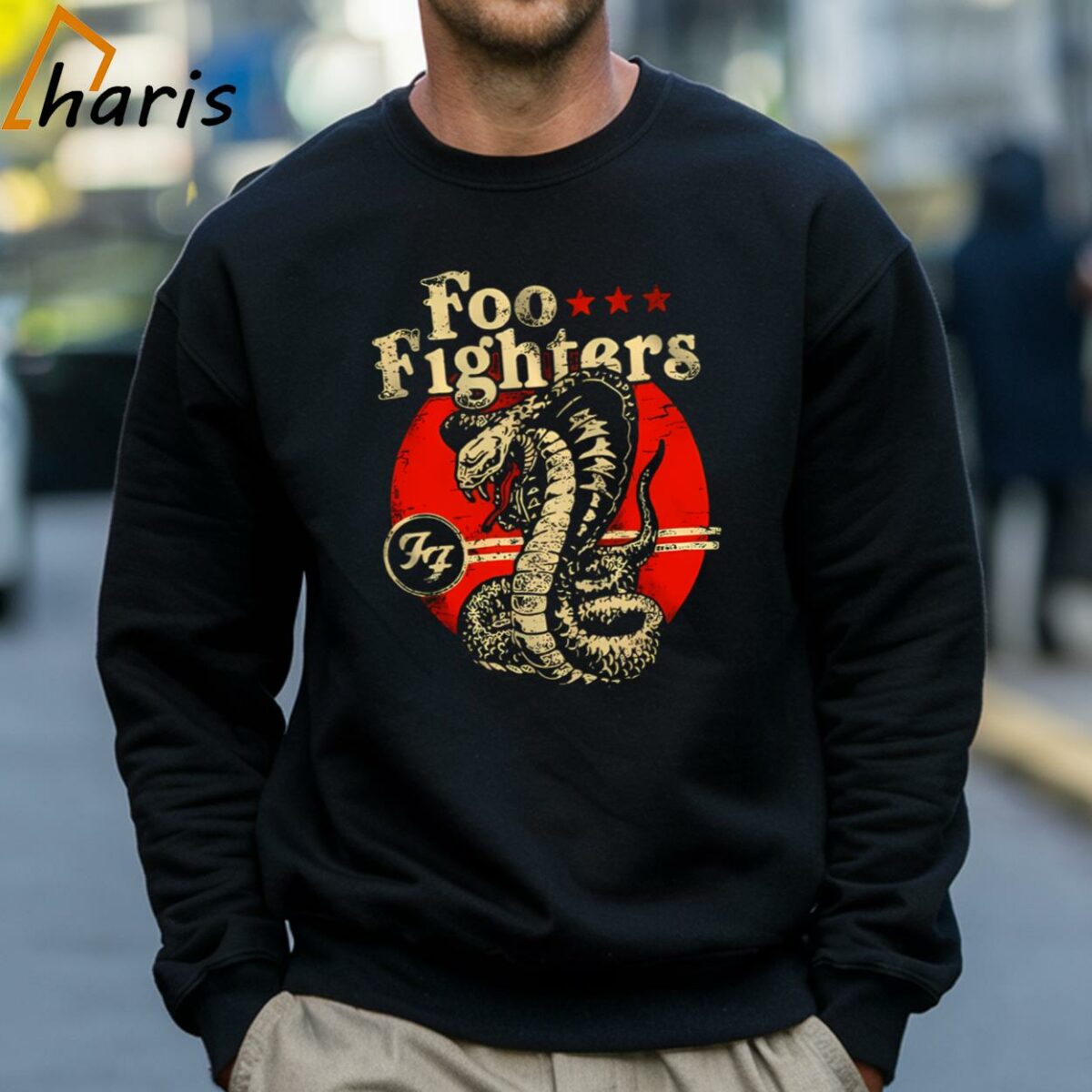 Foo Fighters Cobra T shirt 4 Sweatshirt
