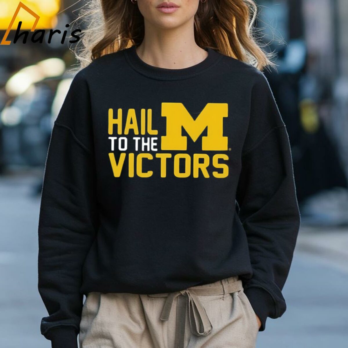 Hail To The Victors Michigan Wolverines T shirt 3 Sweatshirt