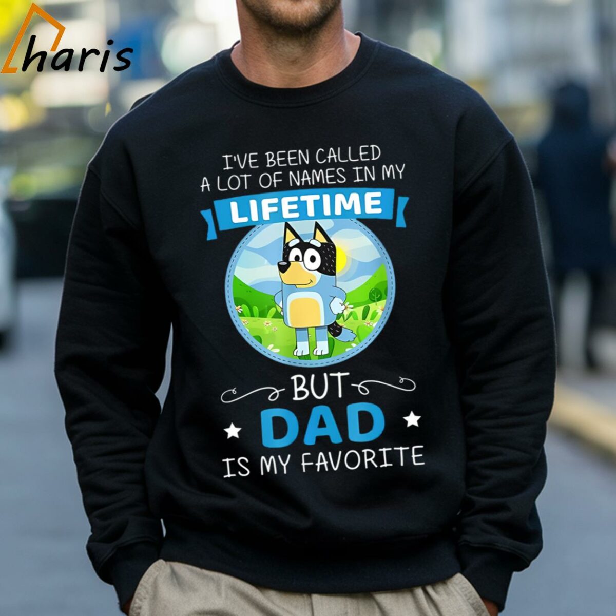 Ive Been Called A Lot Of Names In My Life Time Bluey Dad T shirt 4 Sweatshirt