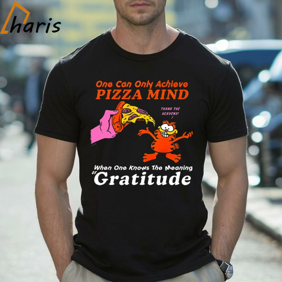 One Can Only Achieve Pizza Mind When One Knows The Meaning Gratitude Garfield Shirt 2 Shirt