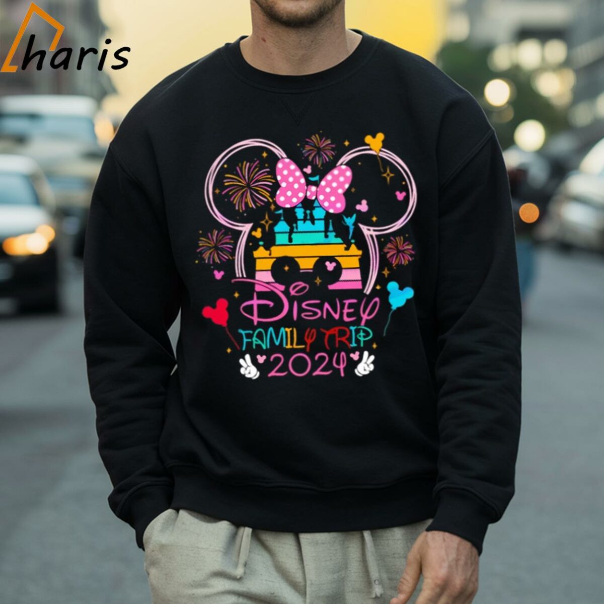 Retro Disney Family Trip 2024 Shirt 4 Sweatshirt