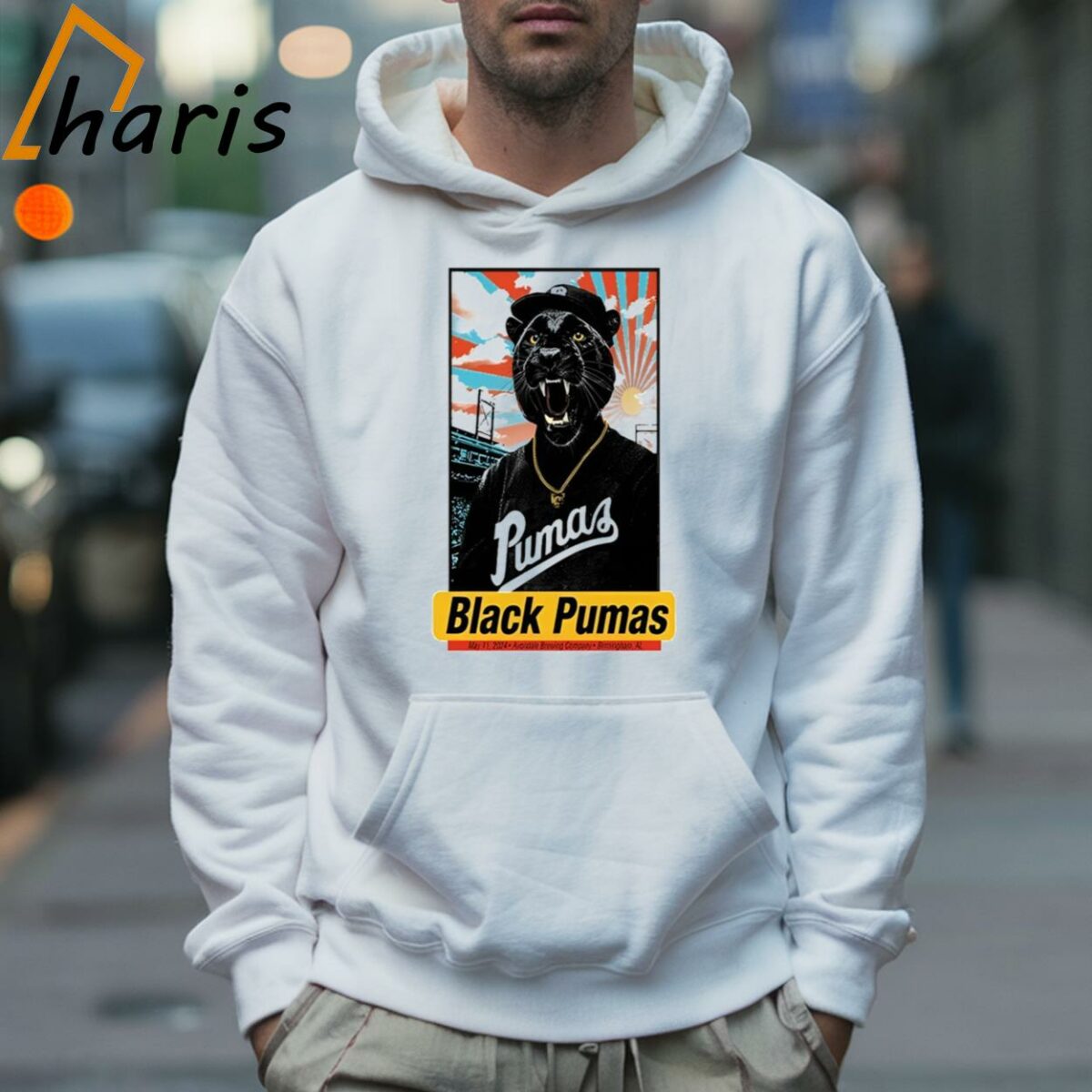 Black Pumas Tour In Birmingham Al 2024 T shirt 5 Hoodie