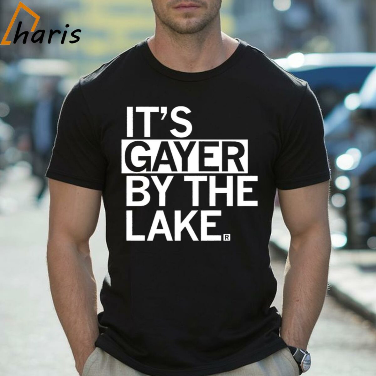 Its Gayer By The Lake Shirt 2 Shirt
