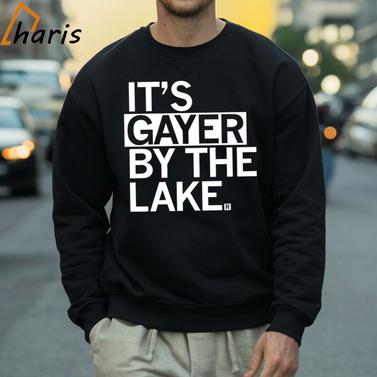 Its Gayer By The Lake Shirt 4 Sweatshirt