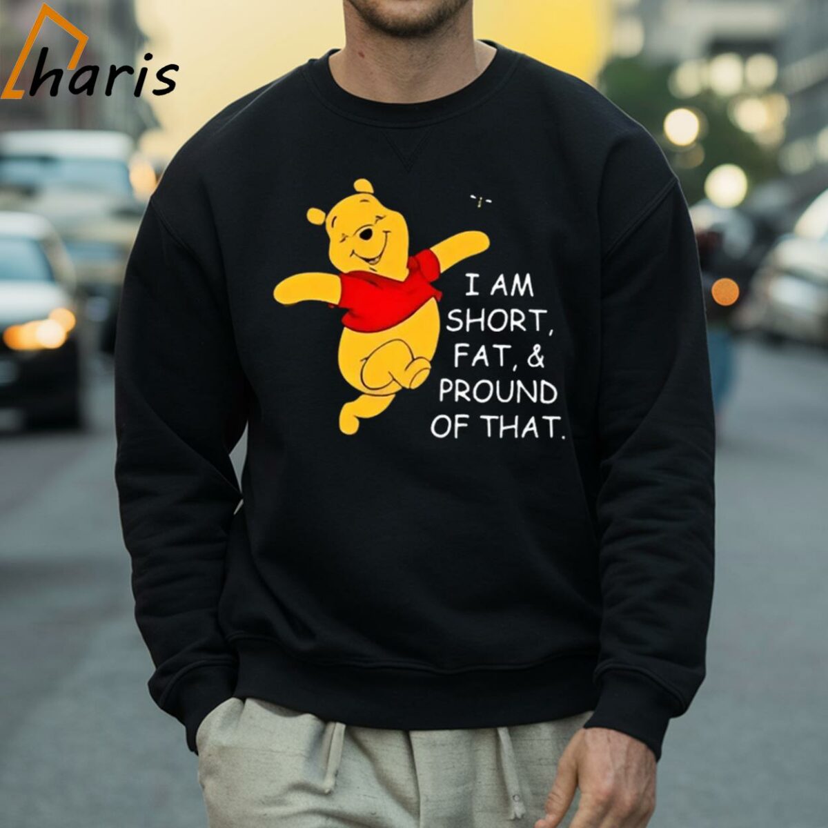 Winnie the pooh I Am Short Fat And Proud Of That Cartoon Shirt 4 Sweatshirt