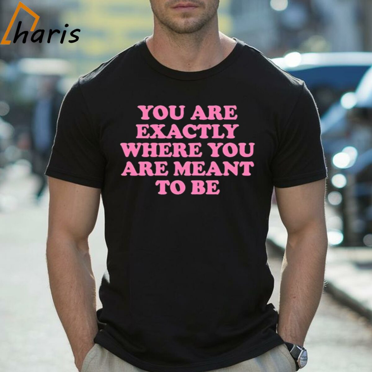 You Are Exactly Where You Are Meant To Be Shirt 2 Shirt