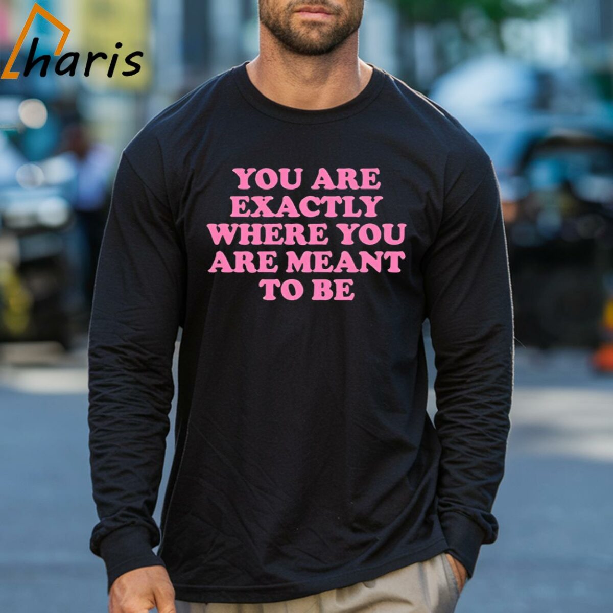 You Are Exactly Where You Are Meant To Be Shirt 3 Long sleeve shirt