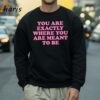 You Are Exactly Where You Are Meant To Be Shirt 4 Sweatshirt