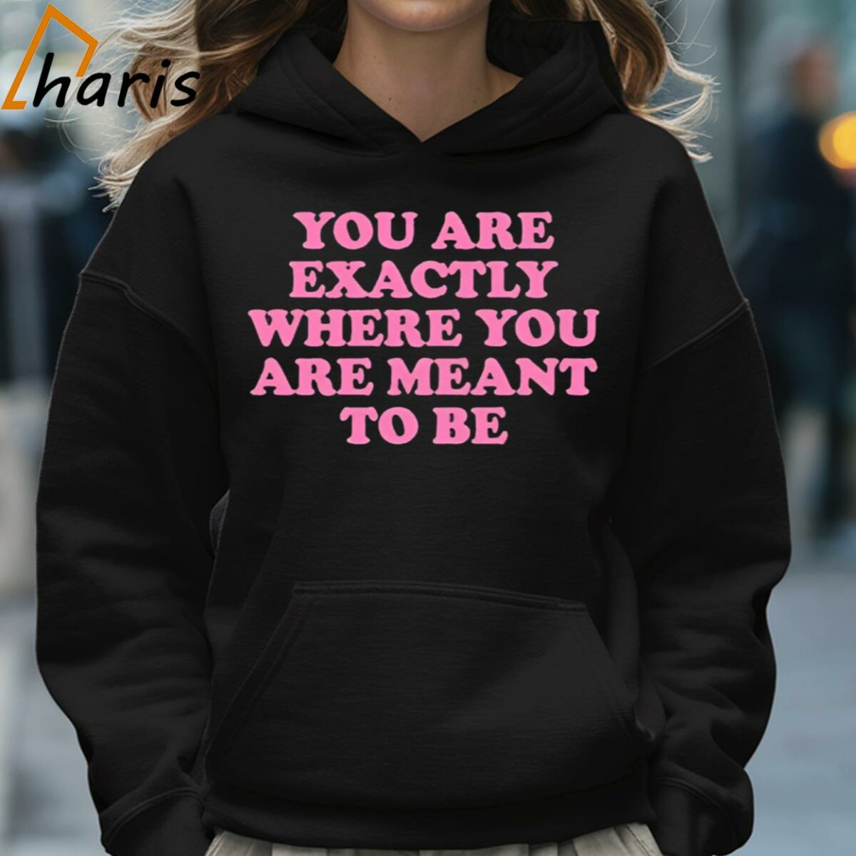 You Are Exactly Where You Are Meant To Be Shirt 5 Hoodie
