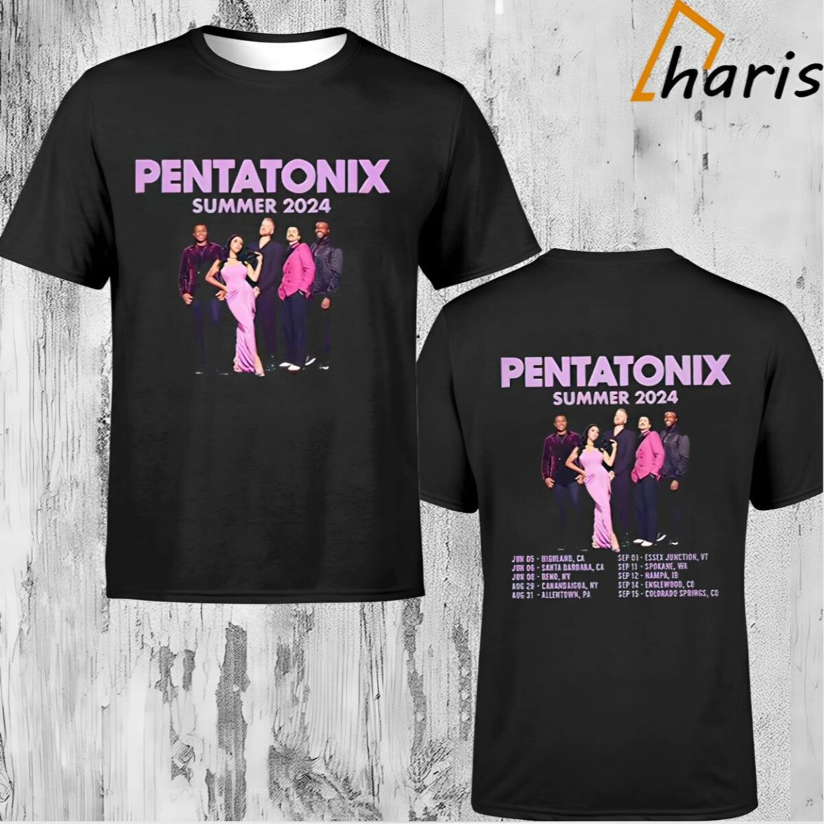 Pentatonix Summer Tour 2024 Music T Shirt 1 1