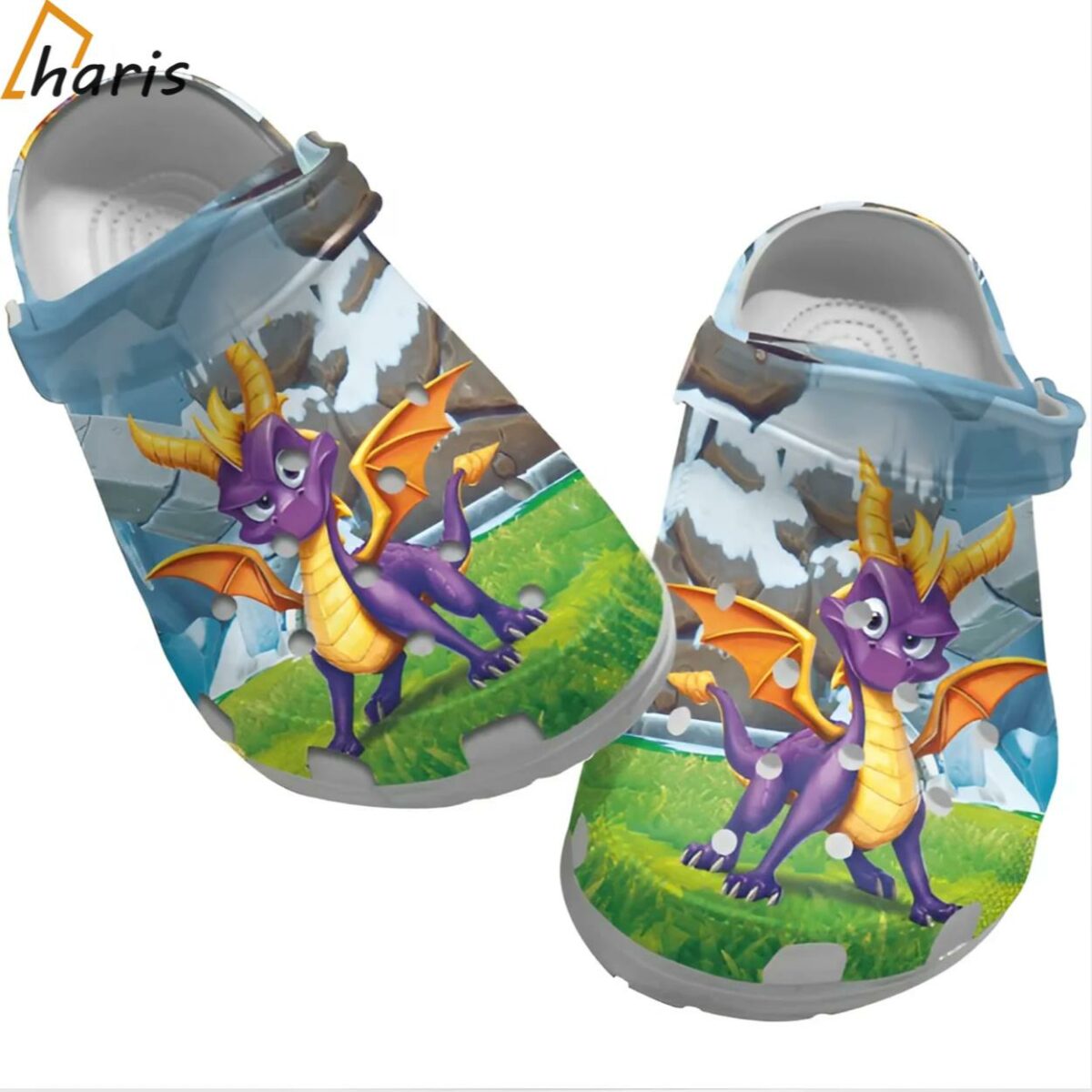 Spyro The Dragon Clogs For Men And Women 1 1